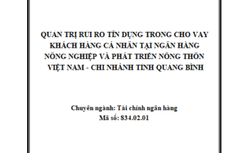 Quản trị rủi ro tín dụng khách hàng cá nhân tại Ngân hàng Nông nghiệp