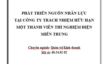 Phát triển nguồn nhân lực tại Công ty TNHH MTV