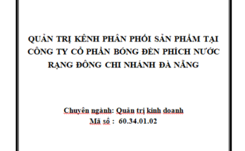 Quản trị kênh phân phối sản phẩm tại Công ty CP bóng đèn phích nước Rạng Đông