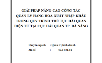 Giải pháp nâng cao công tác quản lý hàng hóa xuất khẩu nhập khẩu trong quy trình thủ tục hải quan