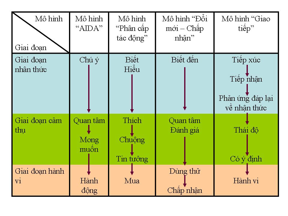 Description: mo hinh nhan thuc