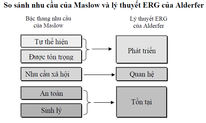 Hình ảnh có liên quan