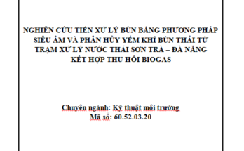 Nghiên cứu tiền xử lý bùn bằng phương pháp siêu âm và phân hủy yếm khí bùn thải từ trạm xử lý nước thải Sơn Trà – Đà Nẵng kết hợp thu hồi Biogas
