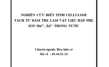Nghiên cứu biến tính cellulose tách từ dăm tre làm vật liệu hấp phụ ion Mn2+ Zn2+ trong nước