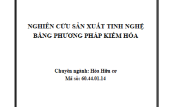Nghiên cứu sản xuất tinh nghệ bằng phương pháp kiềm hóa