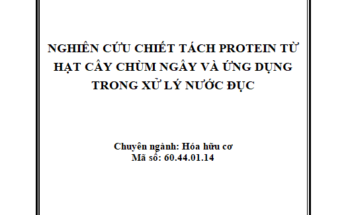 Nghiên cứu chiết tách protein từ hạt cây chùm ngây và ứng dụng trong xử lý nước đục
