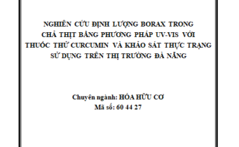 Nghiên cứu định lượng borax trong chả thịt bằng phương pháp UV-VIS với thuốc thử curcumin và khảo sát thực trạng sử dụng trên thị trường Đà Nẵng
