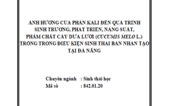Ảnh hưởng của phân kali đến quá trình sinh trưởng phát triển năng suất phẩm chất cây dưa lưới (Cucumis melo L.) trồng trong điều kiện sinh thái bán nhân tạo tại Đà Nẵng