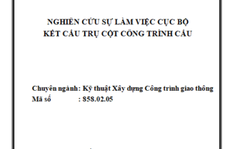 Nghiên cứu sự làm việc cục bộ kết cấu trụ cột công trình cầu