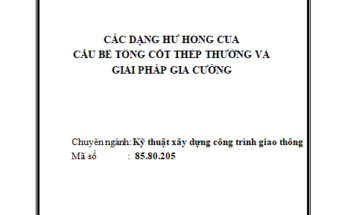 Các dạng hư hỏng của cầu bê tông cốt thép thường và giải pháp gia cường