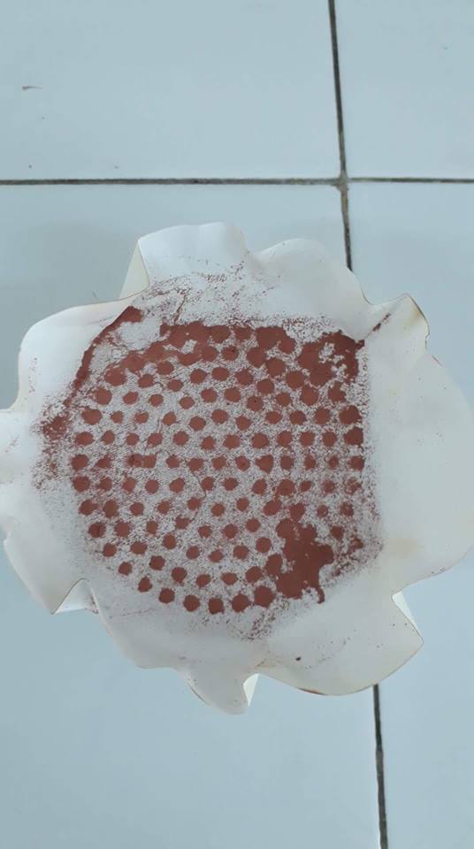 E:\Chemistry\CAO HỌC\luận văn thạc sĩ\hình mai\38661933_444311406083760_6652437796386504704_n.jpg