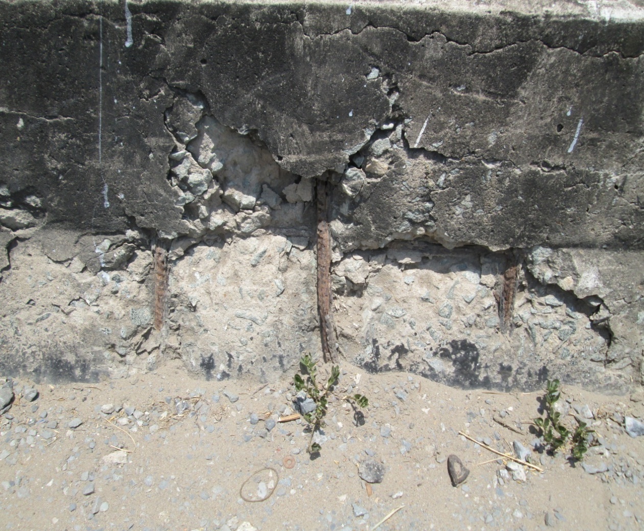 G:\116___04\IMG_0398.JPG