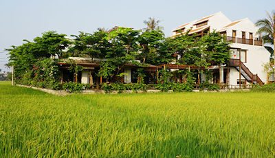 HÃ¬nh áº£nh cÃ³ liÃªn quan