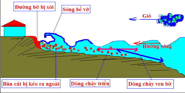 Hinh anh copy