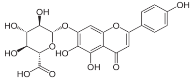 http://upload.wikimedia.org/wikipedia/commons/thumb/b/be/Scutellarin.svg/600px-Scutellarin.svg.png