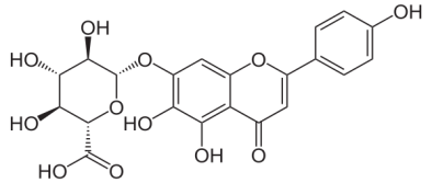 http://upload.wikimedia.org/wikipedia/commons/thumb/b/be/Scutellarin.svg/600px-Scutellarin.svg.png