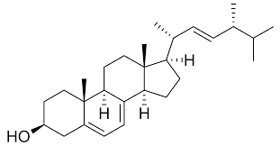 Kết quả hình ảnh cho ergosterol