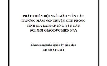 Phát triển đội ngũ giáo viên các trường mầm non huyện Chư Prông tỉnh Gia Lai đáp ứng yêu cầu đổi mới giáo dục hiện nay