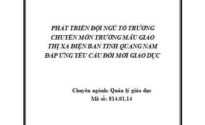 Phát triển đội ngũ tổ trưởng chuyên môn trường mẫu giáo thị xã Điện Bàn tỉnh Quảng Nam đáp ứng yêu cầu đổi mới giáo dục