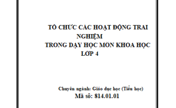 Tổ chức các hoạt động trải nghiệm trong dạy học môn Khoa học lớp 4