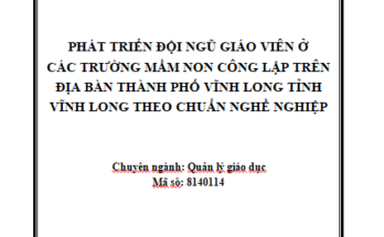 Phát triển đội ngũ giáo viên ở các trường mầm non công lập thành phố vĩnh long tỉnh Vĩnh Long theo chuẩn nghề nghiệp