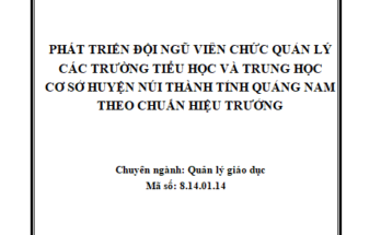 Phát triển đội ngũ viên chức quản lý các trường TH và THCS huyện Núi Thành tỉnh Quảng Nam theo chuẩn hiệu trưởng