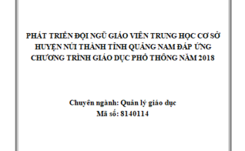Phát triển đội ngũ giáo viên trung học cơ sở huyện Núi Thành tỉnh Quảng Nam đáp ứng chương trình giáo dục phổ thông năm 2018