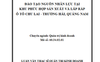 HOÀN THIỆN CÔNG TÁC THẨM ĐỊNH GIÁ TRỊ DOANH NGHIỆP TẠI CÔNG TY TNHH MTV THẨM ĐỊNH GIÁ VÀ DỊCH VỤ TÀI CHÍNH ĐÀ NẴNG