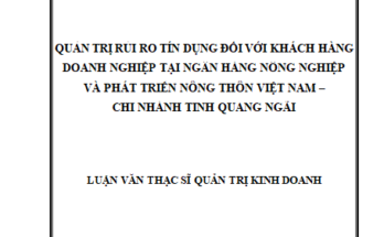 Quản trị rủi ro tín dụng đối với khách hàng doanh nghiệp tại Ngân hàng Nông nghiệp và phát triển nông thôn Việt Nam – Chi nhánh Tỉnh Quảng Ngãi