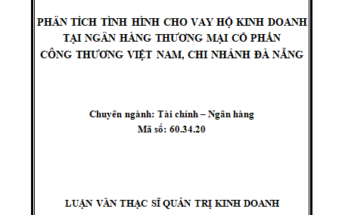 Phân tích tình hình cho vay hộ kinh doanh tại Ngân hàng Thương Mại Cổ Phần Công Thương Việt Nam, Chi nhánh Đà Nẵng