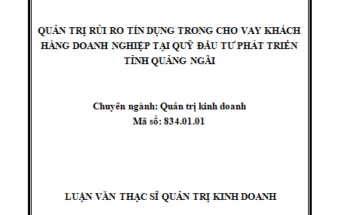 Quản trị rủi ro tín dụng trong cho vay khách hàng doanh nghiệp tại Quỹ Đầu tư phát triển tỉnh Quảng Ngãi