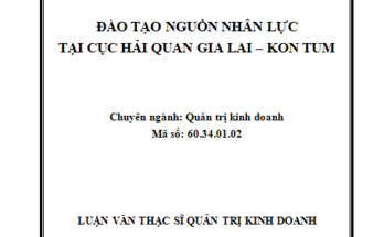 Đào tạo nguồn nhân lực tại Cục Hải quan Gia Lai – Kon Tum