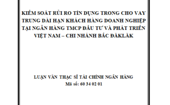 Kiểm soát rủi ro tín dụng trong cho vay trung dài hạn doanh nghiệp tại ngân hàng thương mại cổ phần đầu tư và phát triển Việt Nam – Chi nhánh Bắc ĐắkLắk