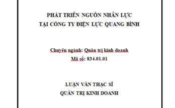 Phát triển nguồn nhân lực tại Công ty Điện lực Quảng Bình