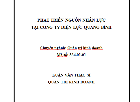Phát triển nguồn nhân lực tại Công ty Điện lực Quảng Bình