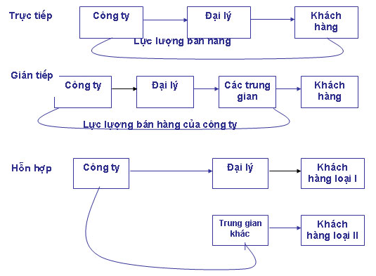 hinh2