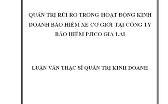 Quản trị rủi ro trong hoạt động kinh doanh bảo hiểm xe cơ giới tại công ty bảo hiểm PJICO Gia Lai