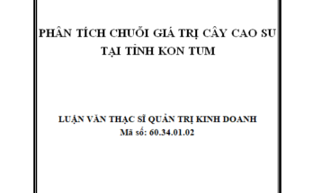 Phân tích chuỗi giá trị cây cao su tại tỉnh Kon Tum