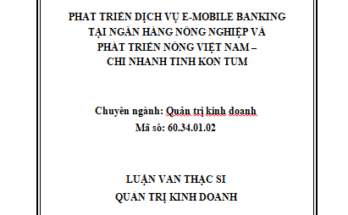 Phát triển dịch vụ E-Moblie Banking tại Ngân hàng Nông nghiệp và Phát triển Nông thôn Việt Nam Chi nhánh tỉnh Kon Tum