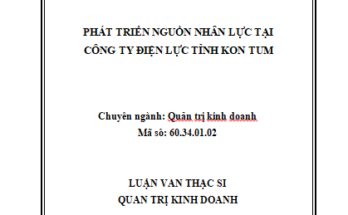 Phát triển nguồn nhân lực tại Công ty Điện lực tỉnh Kon Tum