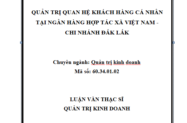Quản trị quan hệ khách hàng cá nhân tại Ngân hàng Hợp tác xã Việt Nam chi nhánh tỉnh Đắk Lắk