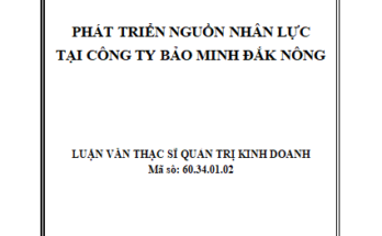 Phát triển nguồn nhân lực tại Công ty Bảo Minh Đắk Nông
