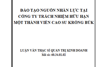 Đào tạo nguồn nhân lực tại Công ty trách nhiệm hữu hạn một thành viên cao su Krong Búk