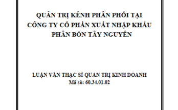Quản trị kênh phân phối tại Công ty Cổ phần xuất nhập khẩu phân bón Tây Nguyên