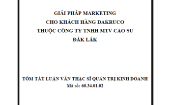 Hoàn thiện chính sách Marketing cho dịch vụ Internet cáp quang (FiberVNN) tại VNPT Đắk Lắk