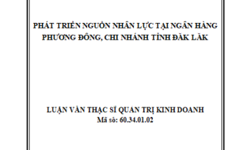 Phát triển nguồn nhân lực tại ngân hàng Phương Đông chi nhánh tỉnh Đăk Lăk