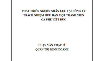Phát triển nhân lực tại Công ty trách nhiệm hữu hạn một thành viên Cà phê Việt Đức tỉnh Đắk Lắk