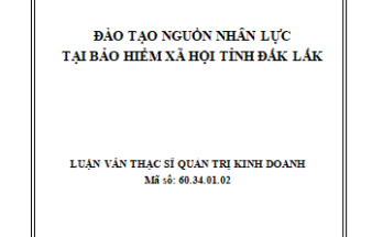 Đào tạo nguồn nhân lực tại Bảo hiểm xã hội tỉnh Đắk Lắk