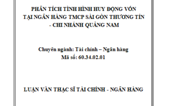 Phân tích tình hình huy động vốn tại Ngân hàng TMCP Sài Gòn Thương tín – Chi nhánh Quảng Nam