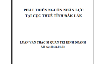 Phát triển nguồn nhân lực tại Cục Thuế tỉnh Đắk Lắk